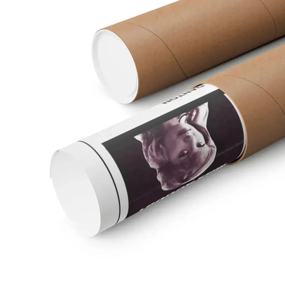 THE CENTERFOLD GIRLS 1974 - Paper Movie Poster - The Sticker Space