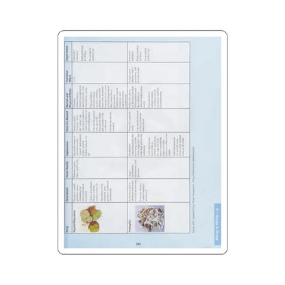 SKU:11038343521402575618 Sticker types:White Shape:Die-Cut Sizes:5" × 5"