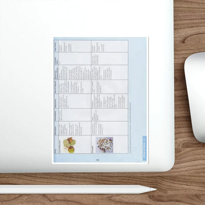 SKU:29940377534880819864 Sticker types:White Shape:Die-Cut Sizes:6" × 6"