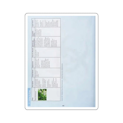 SKU:19964798859856909019 Sticker types:White Shape:Die-Cut Sizes:4" × 4"