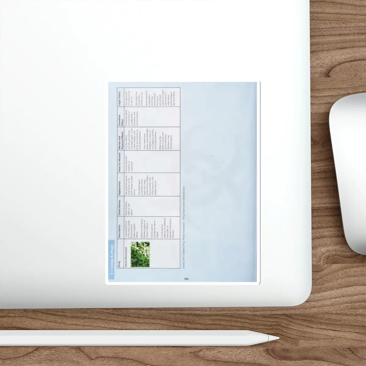 SKU:57507039640454387744 Sticker types:White Shape:Die-Cut Sizes:5" × 5"