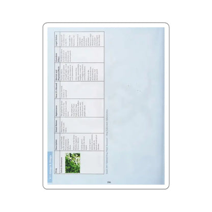 SKU:63607971216574324893 Sticker types:White Shape:Die-Cut Sizes:2" × 2"