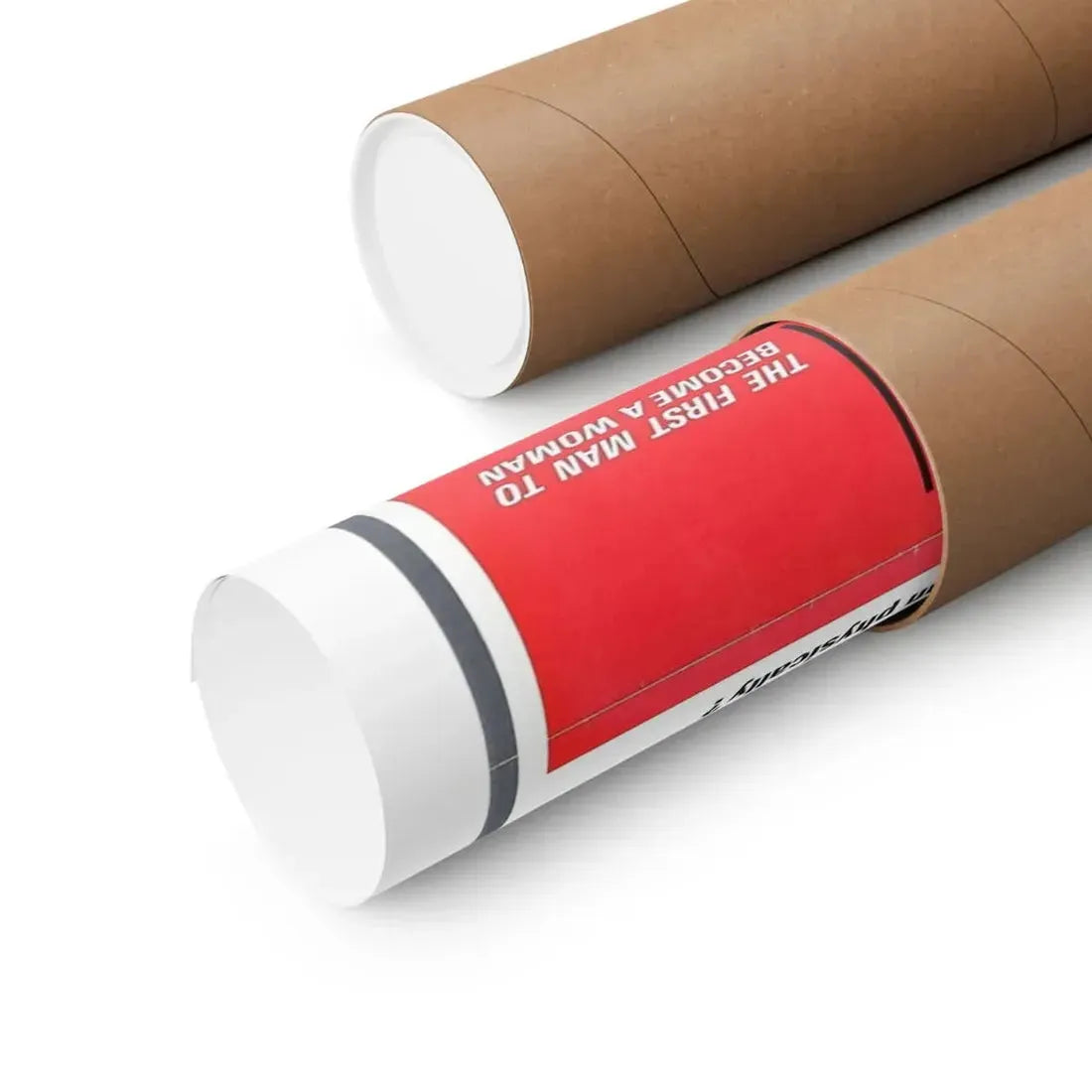 THE CHRISTINE JORGENSEN STORY 1970 - Paper Movie Poster - The Sticker Space