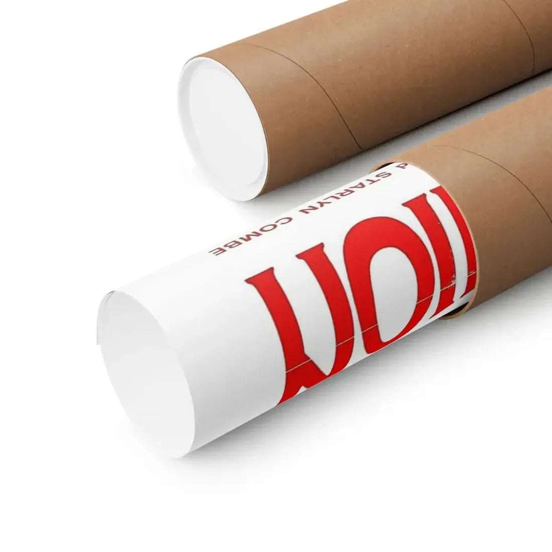 THE CLASS REUNION 1972 - Paper Movie Poster - The Sticker Space