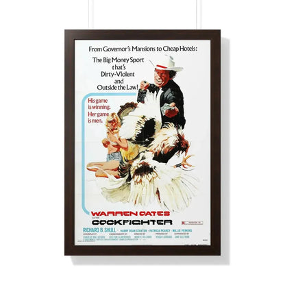 THE COCKFIGHTER 1974 - Framed Movie Poster 20" x 30" Walnut - The Sticker Space