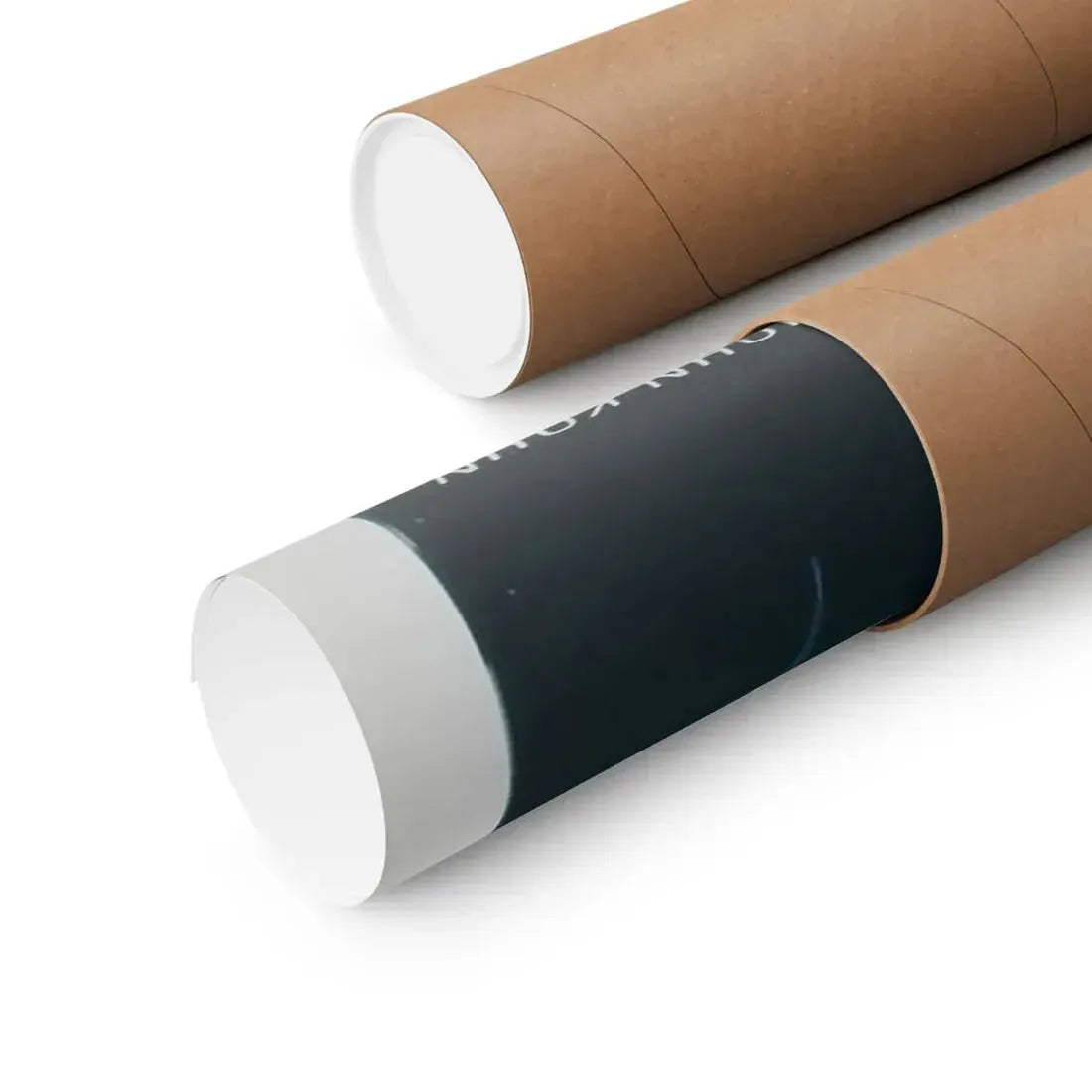 THE COLLECTOR 1965 - Paper Movie Poster - The Sticker Space