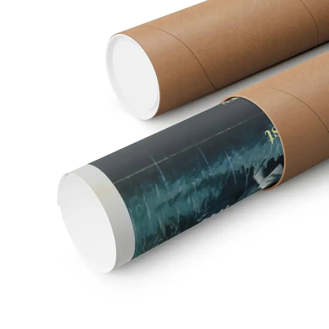 THE COLLECTOR 1965 - Paper Movie Poster - The Sticker Space