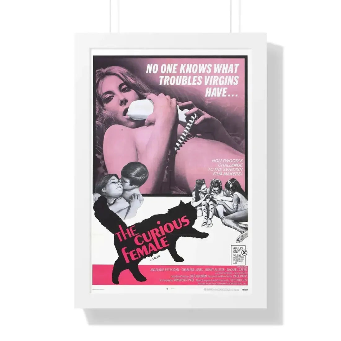 THE CURIOUS FEMALE 1970 - Framed Movie Poster 16″ x 24″ White - The Sticker Space