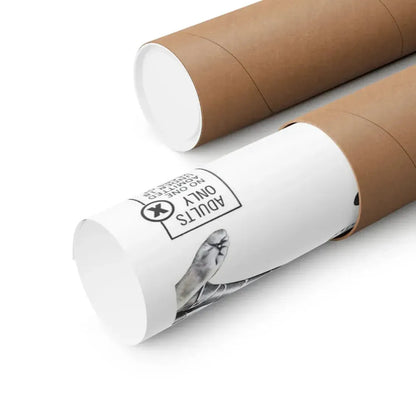 THE CURIOUS FEMALE 1970 - Paper Movie Poster - The Sticker Space