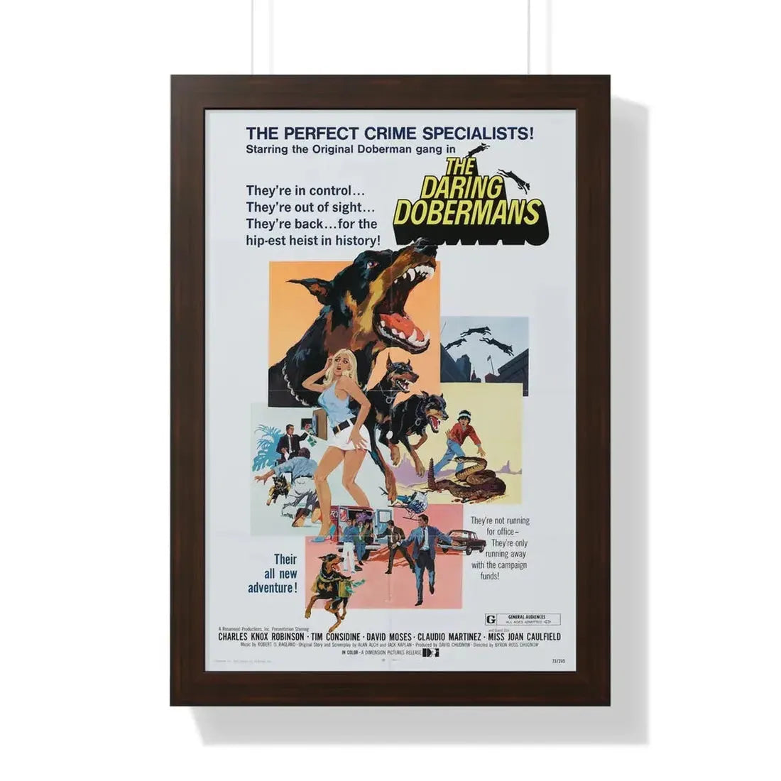 THE DARING DOBERMANS 1973 - Framed Movie Poster 16″ x 24″ Walnut - The Sticker Space