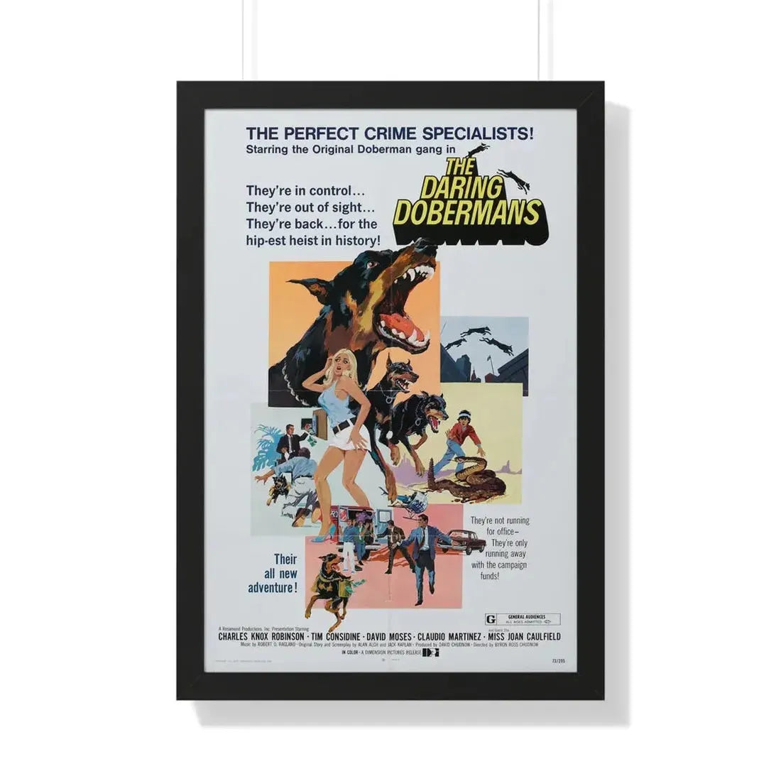 THE DARING DOBERMANS 1973 - Framed Movie Poster 20" x 30" Black - The Sticker Space