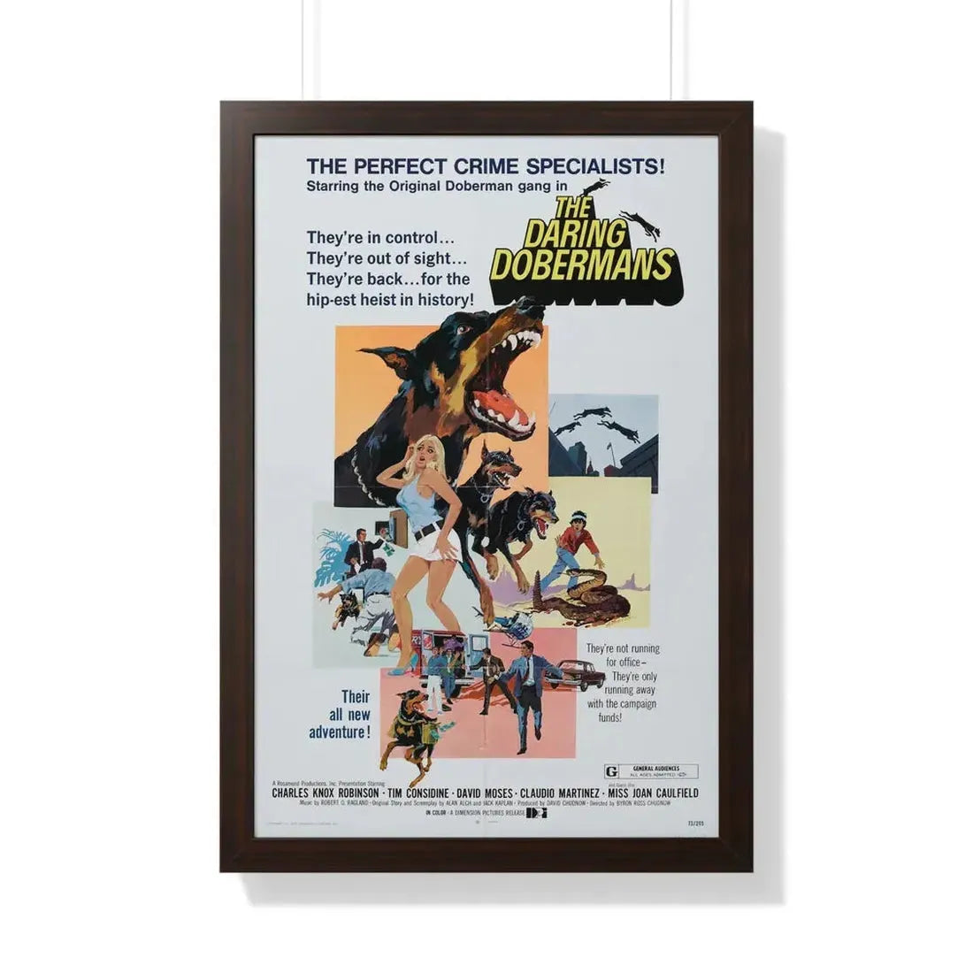 THE DARING DOBERMANS 1973 - Framed Movie Poster 20" x 30" Walnut - The Sticker Space