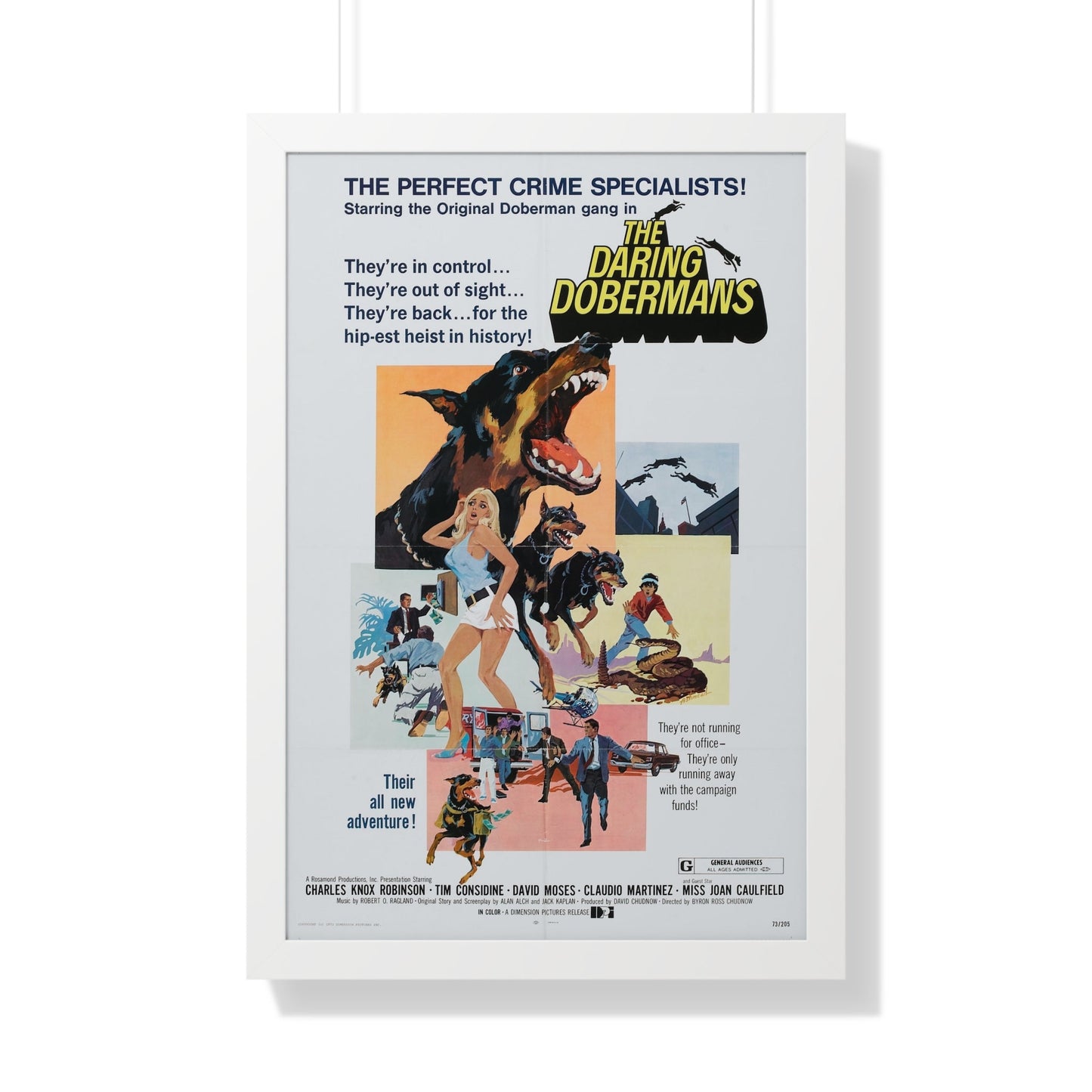 THE DARING DOBERMANS 1973 - Framed Movie Poster-20" x 30"-The Sticker Space