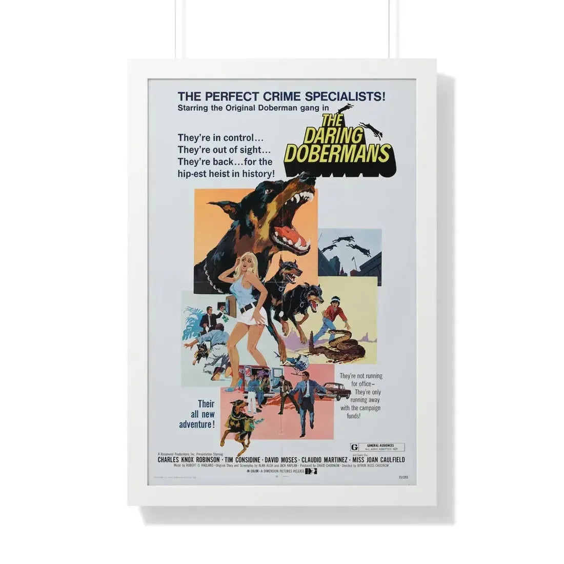 THE DARING DOBERMANS 1973 - Framed Movie Poster 20" x 30" White - The Sticker Space