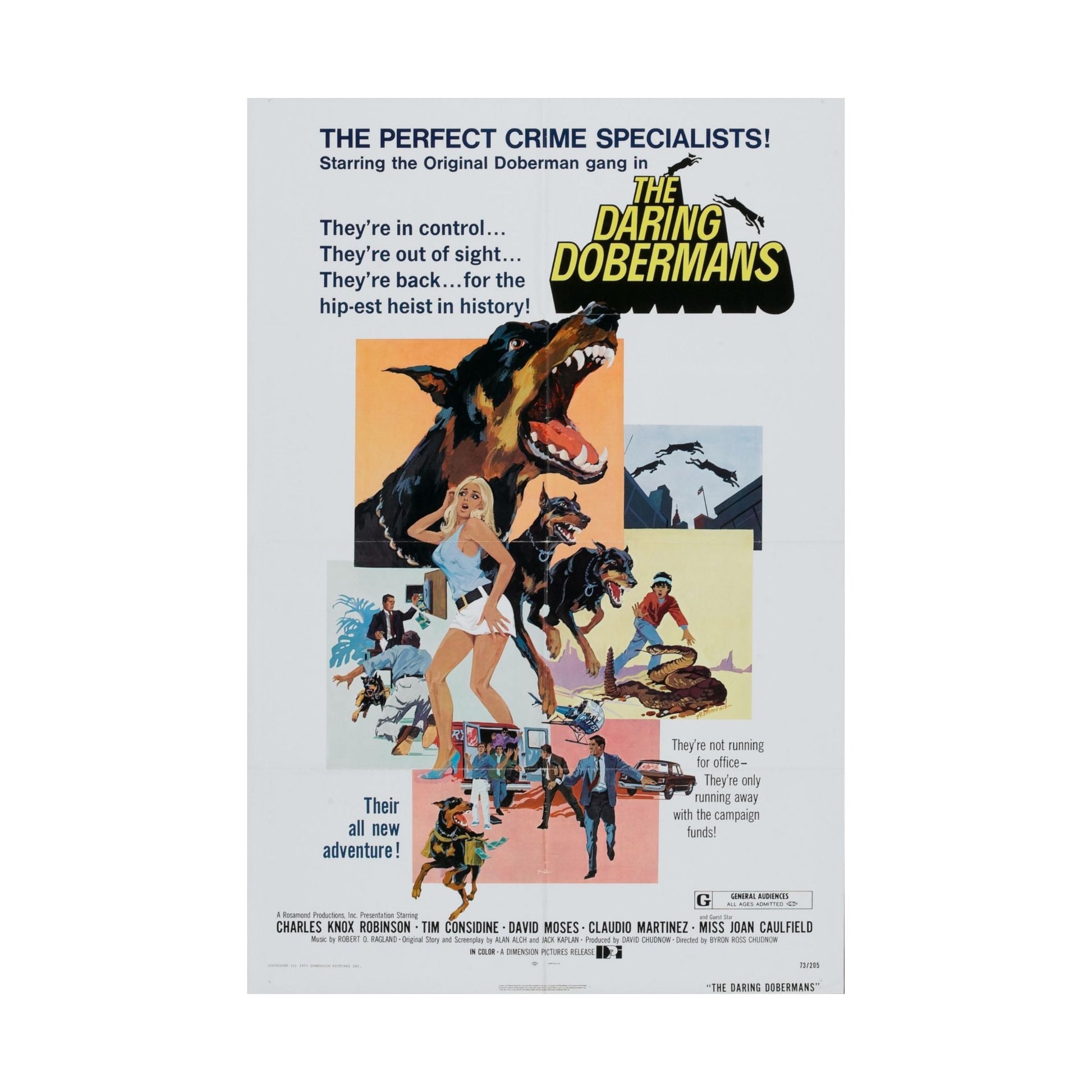 THE DARING DOBERMANS 1973 - Paper Movie Poster-The Sticker Space