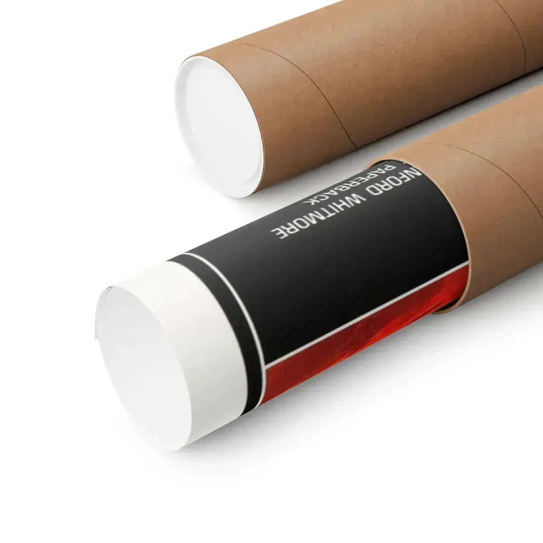 THE DARK 1979 - Paper Movie Poster - The Sticker Space