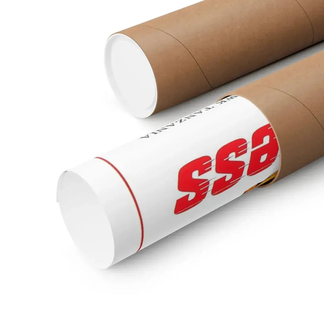 THE DEVIL'S EXPRESS 1976 - Paper Movie Poster - The Sticker Space