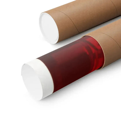 THE DICKTATOR 1974 - Paper Movie Poster - The Sticker Space