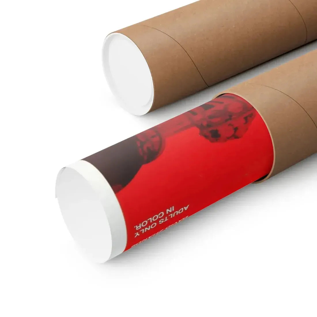 THE DICKTATOR 1974 - Paper Movie Poster - The Sticker Space