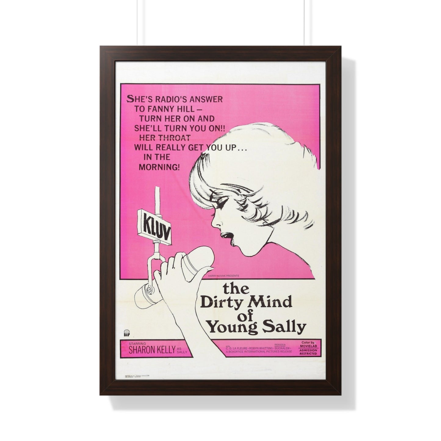 THE DIRTY MIND OF YOUNG SALLY 1973 - Framed Movie Poster-20" x 30"-The Sticker Space