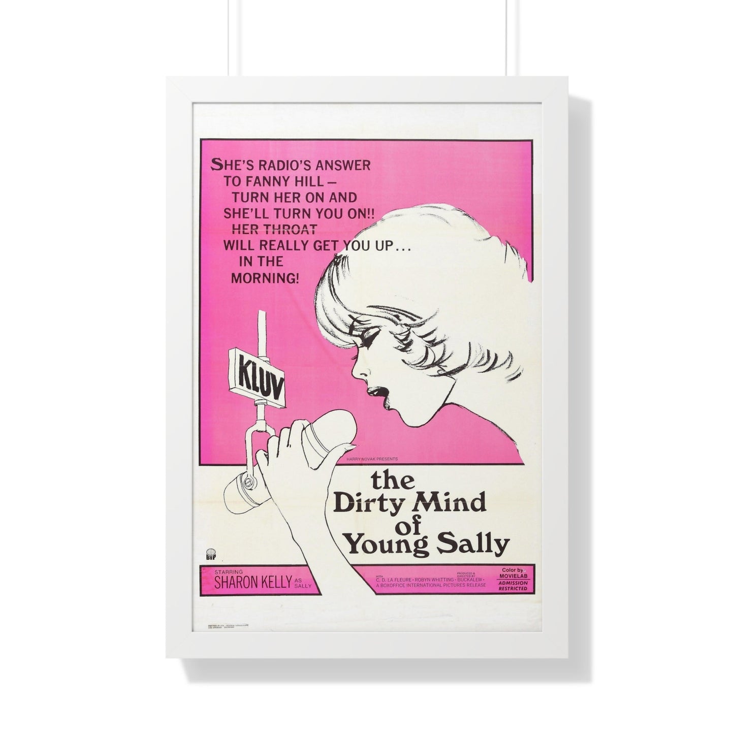 THE DIRTY MIND OF YOUNG SALLY 1973 - Framed Movie Poster-20" x 30"-The Sticker Space