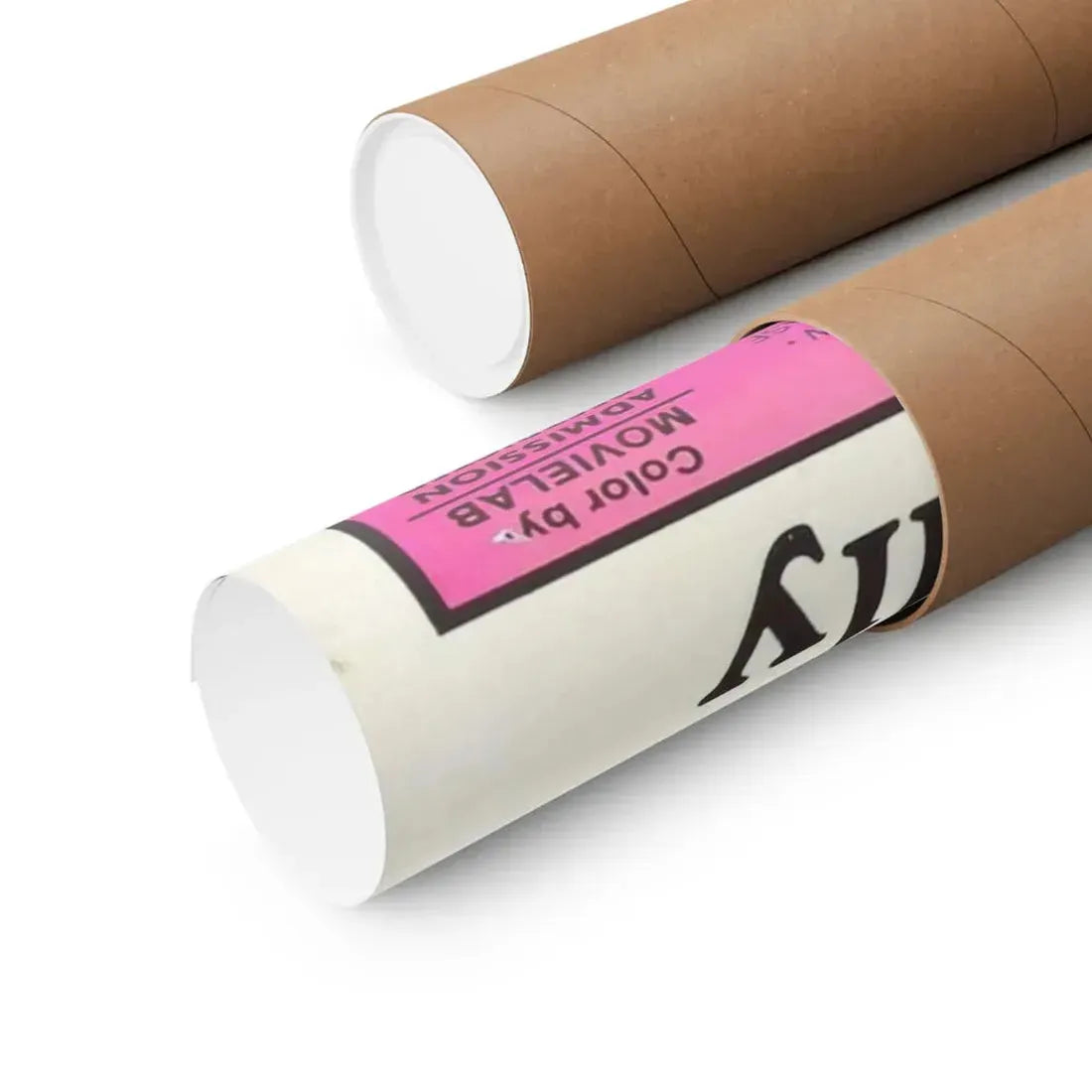 THE DIRTY MIND OF YOUNG SALLY 1973 - Paper Movie Poster - The Sticker Space