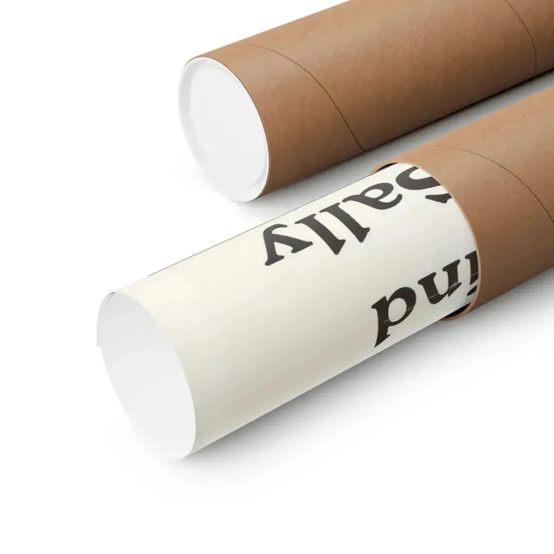 THE DIRTY MIND OF YOUNG SALLY 1973 - Paper Movie Poster - The Sticker Space