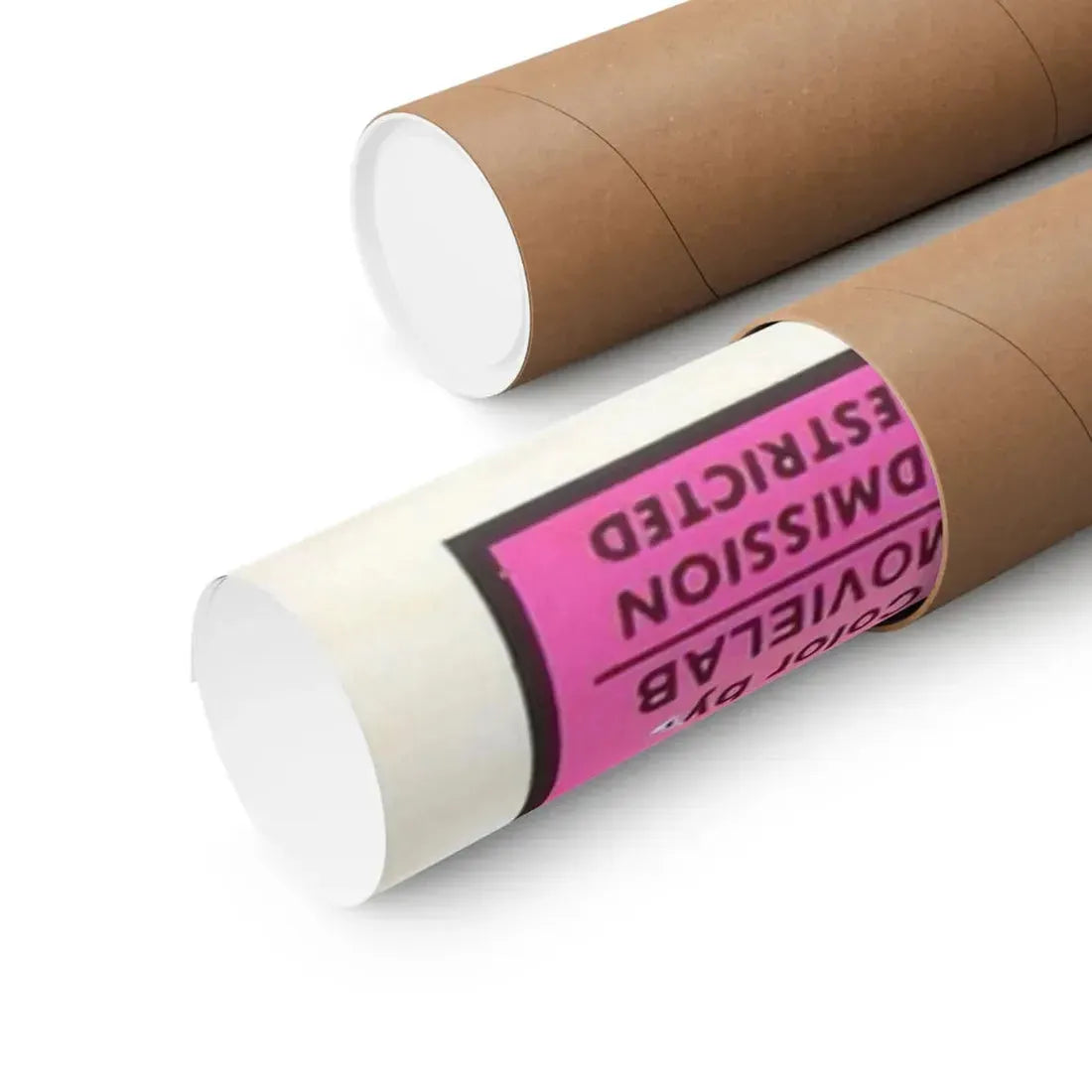 THE DIRTY MIND OF YOUNG SALLY 1973 - Paper Movie Poster - The Sticker Space