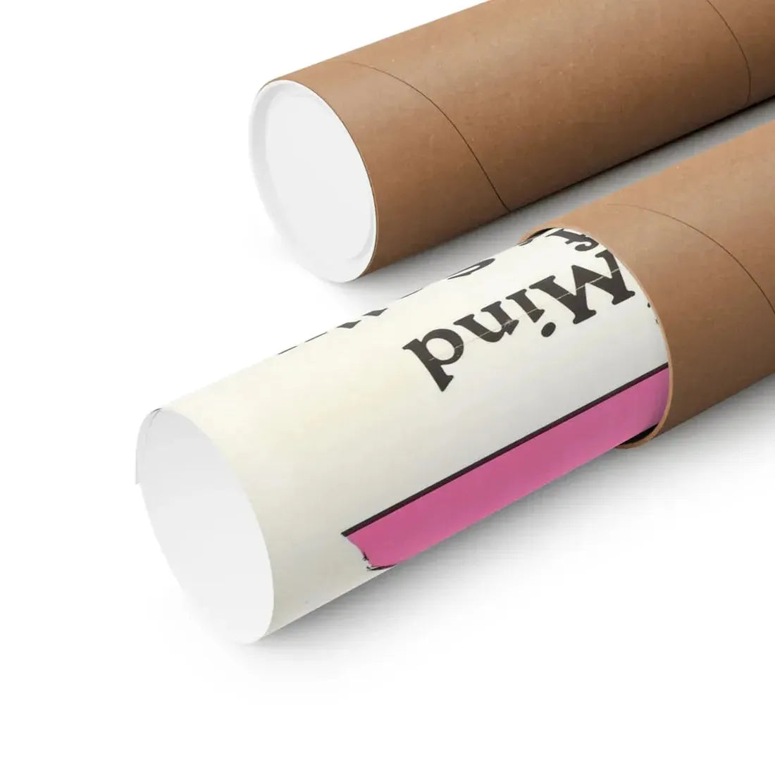 THE DIRTY MIND OF YOUNG SALLY 1973 - Paper Movie Poster - The Sticker Space