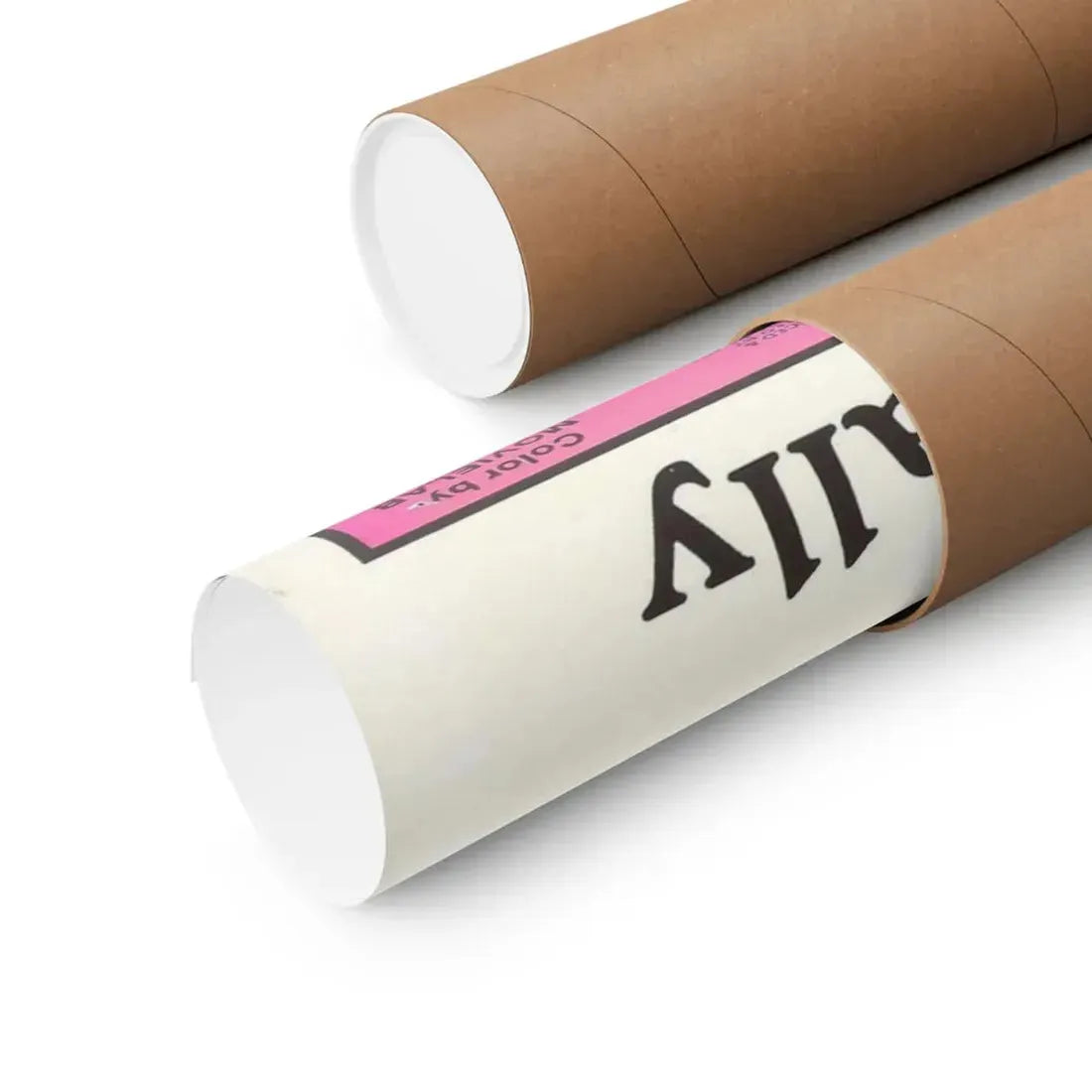 THE DIRTY MIND OF YOUNG SALLY 1973 - Paper Movie Poster - The Sticker Space