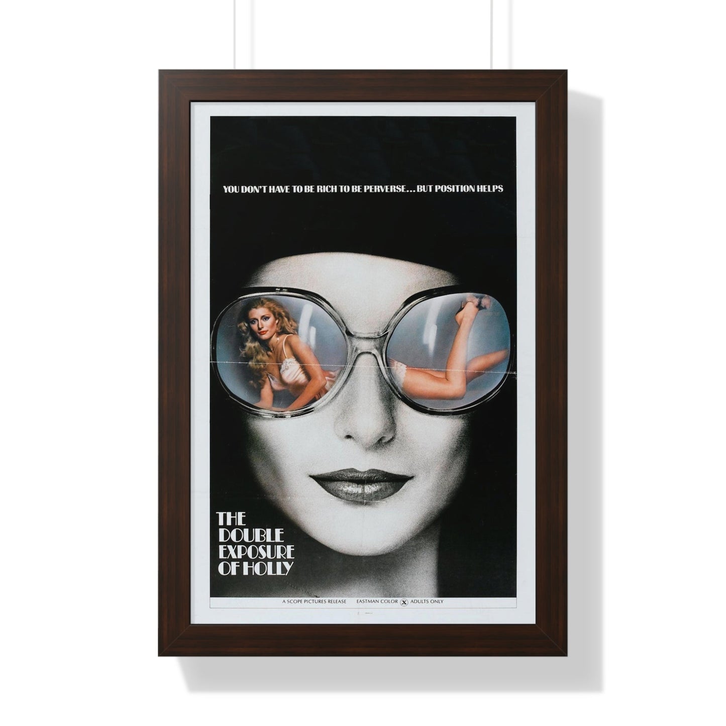 THE DOUBLE EXPOSURE OF HOLLY 1976 - Framed Movie Poster-16″ x 24″-The Sticker Space