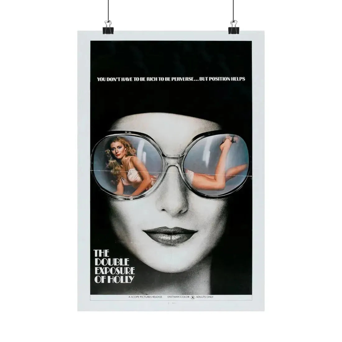 THE DOUBLE EXPOSURE OF HOLLY 1976 - Paper Movie Poster 12″ x 18″ Matte - The Sticker Space