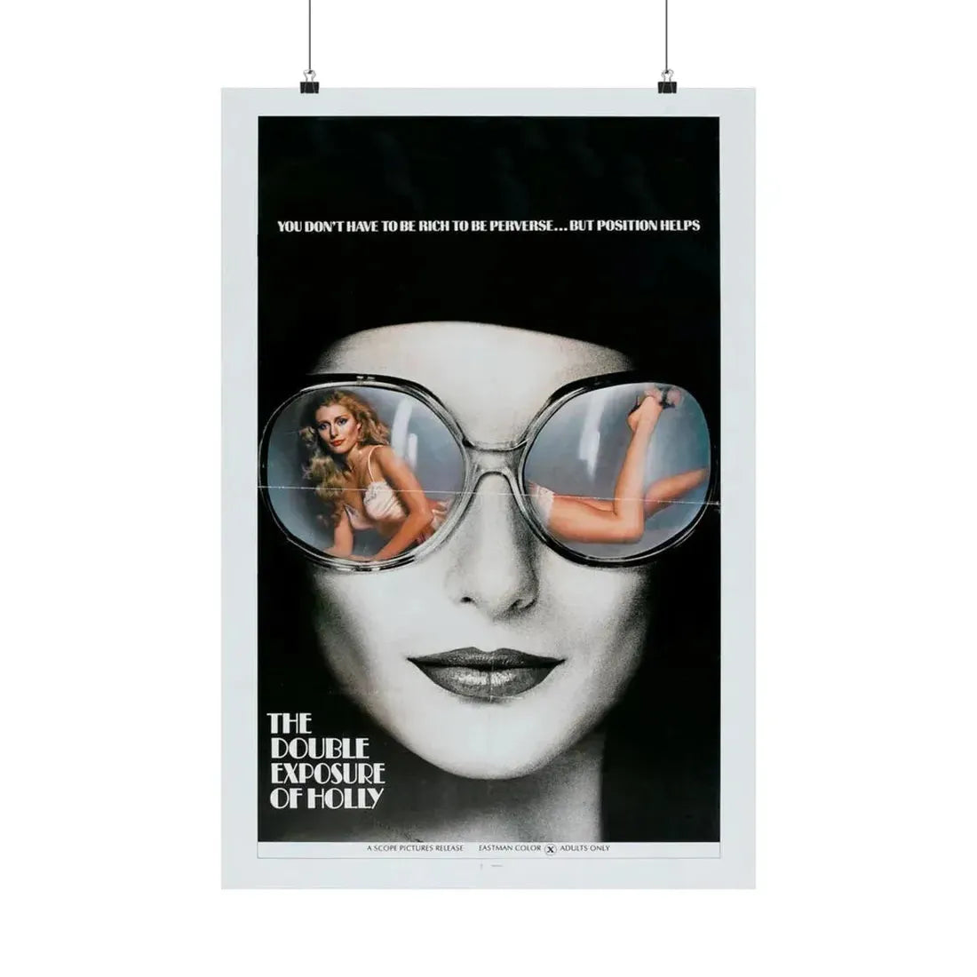THE DOUBLE EXPOSURE OF HOLLY 1976 - Paper Movie Poster 20″ x 30″ Matte - The Sticker Space