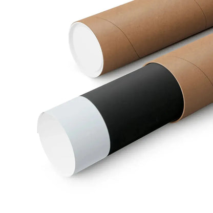 THE DOUBLE EXPOSURE OF HOLLY 1976 - Paper Movie Poster - The Sticker Space