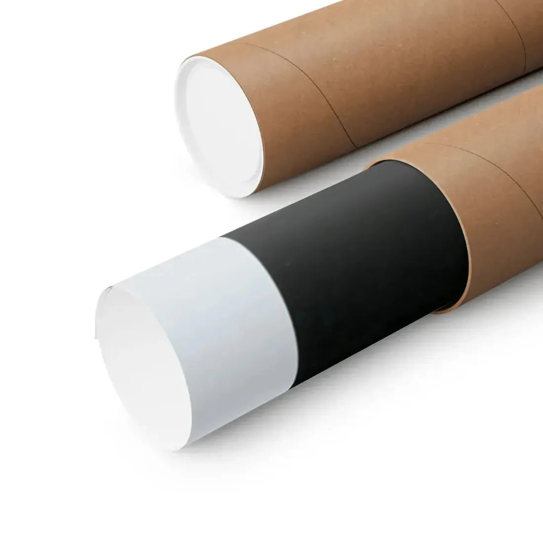 THE DOUBLE EXPOSURE OF HOLLY 1976 - Paper Movie Poster - The Sticker Space