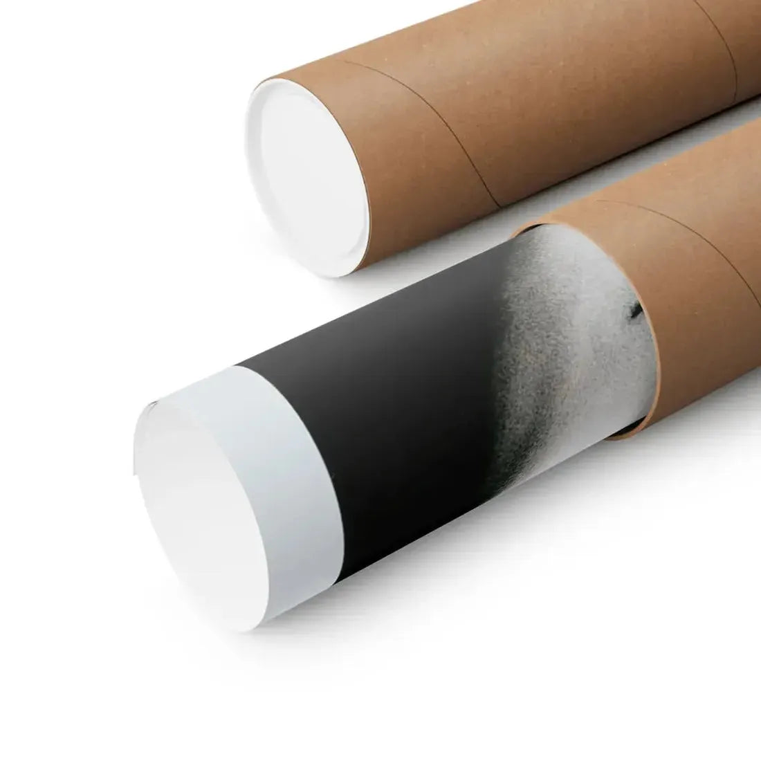 THE DOUBLE EXPOSURE OF HOLLY 1976 - Paper Movie Poster - The Sticker Space