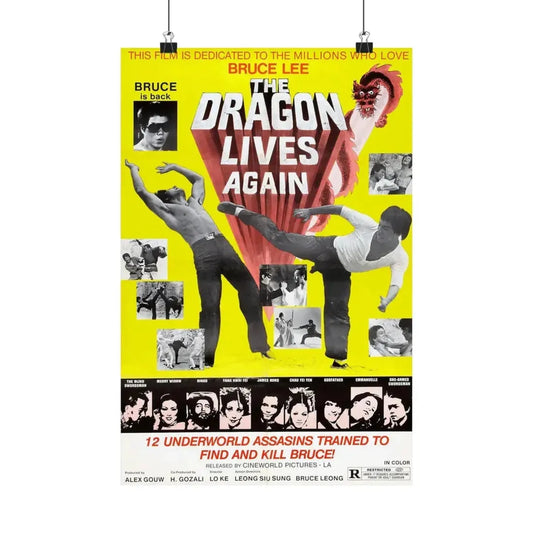 THE DRAGON LIVES AGAIN 1977 - Paper Movie Poster 12″ x 18″ Matte - The Sticker Space