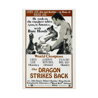 THE DRAGON STRIKES BACK 1975 - Paper Movie Poster - The Sticker Space