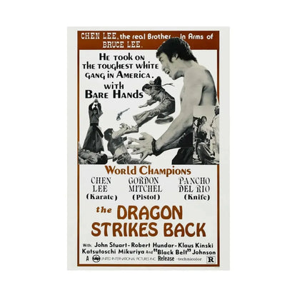 THE DRAGON STRIKES BACK 1975 - Paper Movie Poster - The Sticker Space