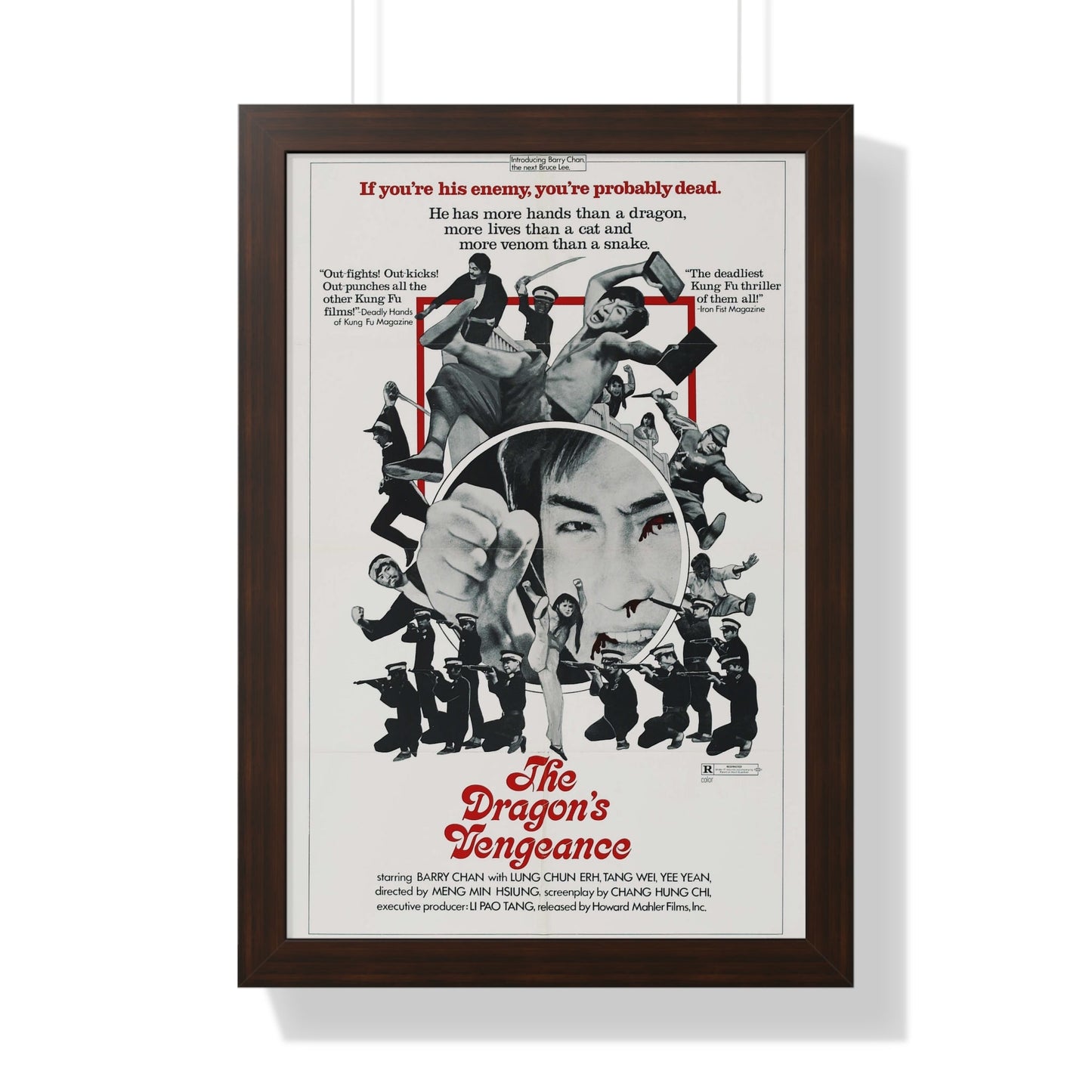 THE DRAGONS VENGEANCE 1972 - Framed Movie Poster-16″ x 24″-The Sticker Space