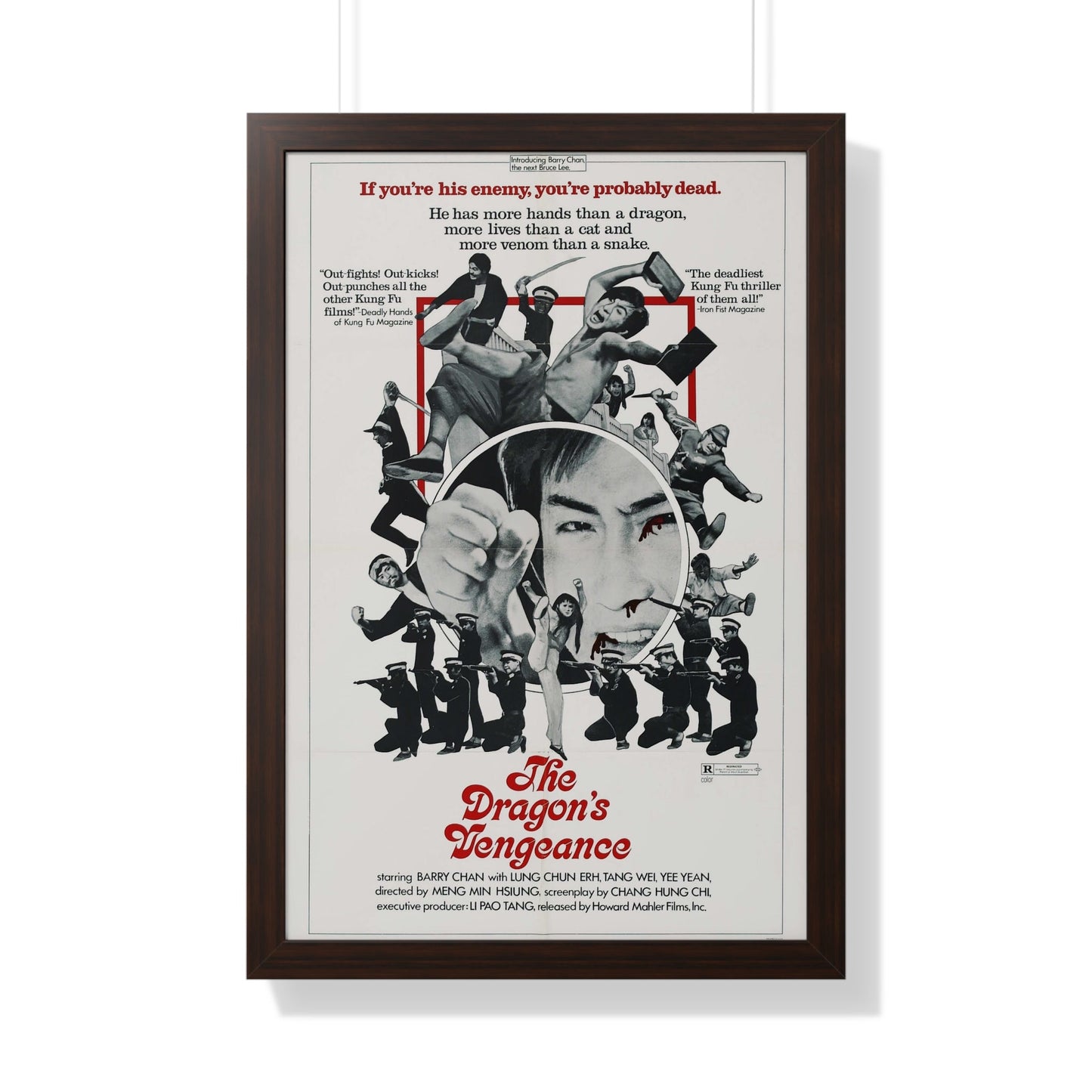 THE DRAGONS VENGEANCE 1972 - Framed Movie Poster-20" x 30"-The Sticker Space