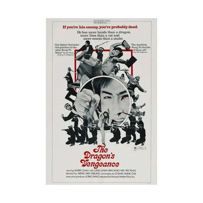 THE DRAGONS VENGEANCE 1972 - Paper Movie Poster - The Sticker Space