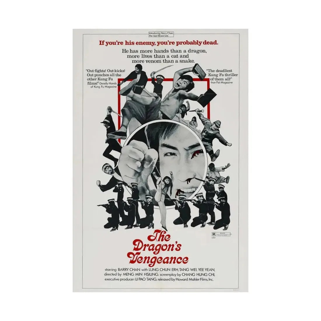 THE DRAGONS VENGEANCE 1972 - Paper Movie Poster - The Sticker Space