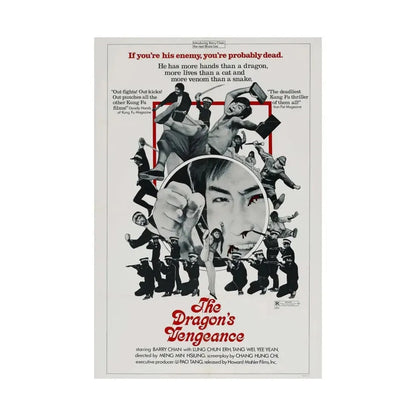 THE DRAGONS VENGEANCE 1972 - Paper Movie Poster - The Sticker Space