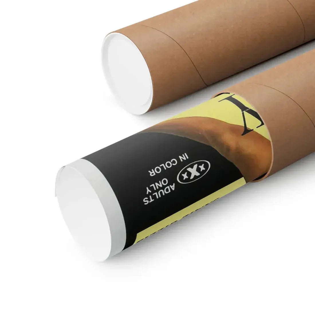 THE ECSTASY GIRLS 1979 - Paper Movie Poster - The Sticker Space