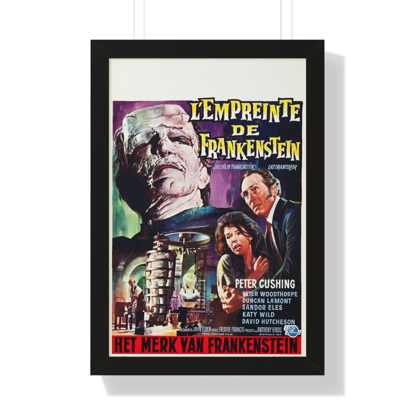 THE EVIL OF FRANKENSTEIN (BELGIAN) 1964 - Framed Movie Poster-16″ x 24″-The Sticker Space