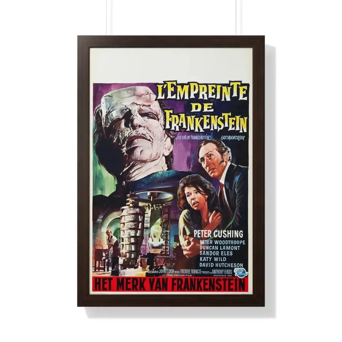 THE EVIL OF FRANKENSTEIN (BELGIAN) 1964 - Framed Movie Poster 20" x 30" Walnut - The Sticker Space