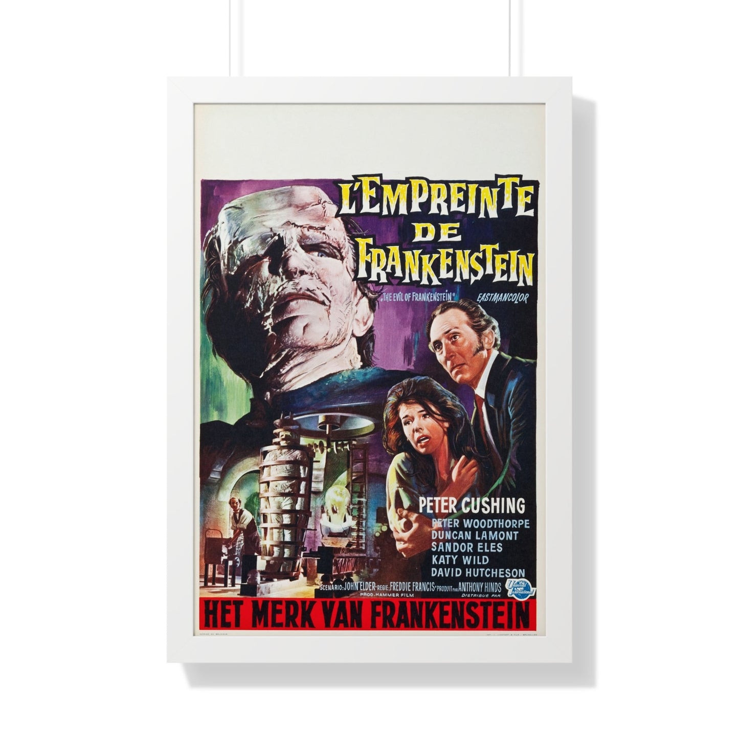 THE EVIL OF FRANKENSTEIN (BELGIAN) 1964 - Framed Movie Poster-20" x 30"-The Sticker Space