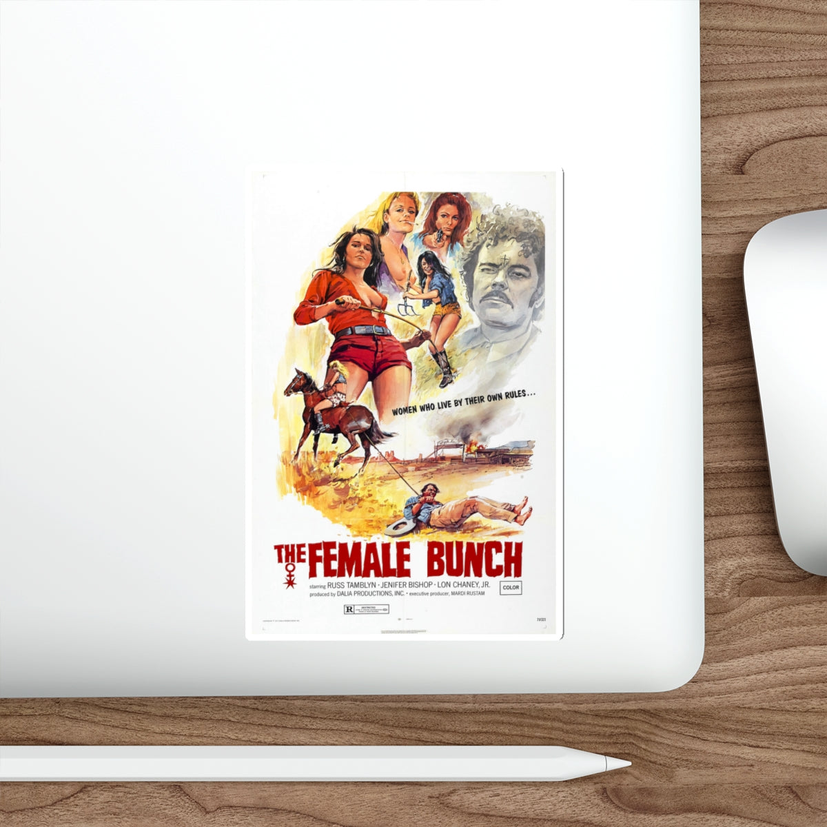 THE FEMALE BUNCH 1969 Movie Poster STICKER Vinyl Die-Cut Decal-The Sticker Space