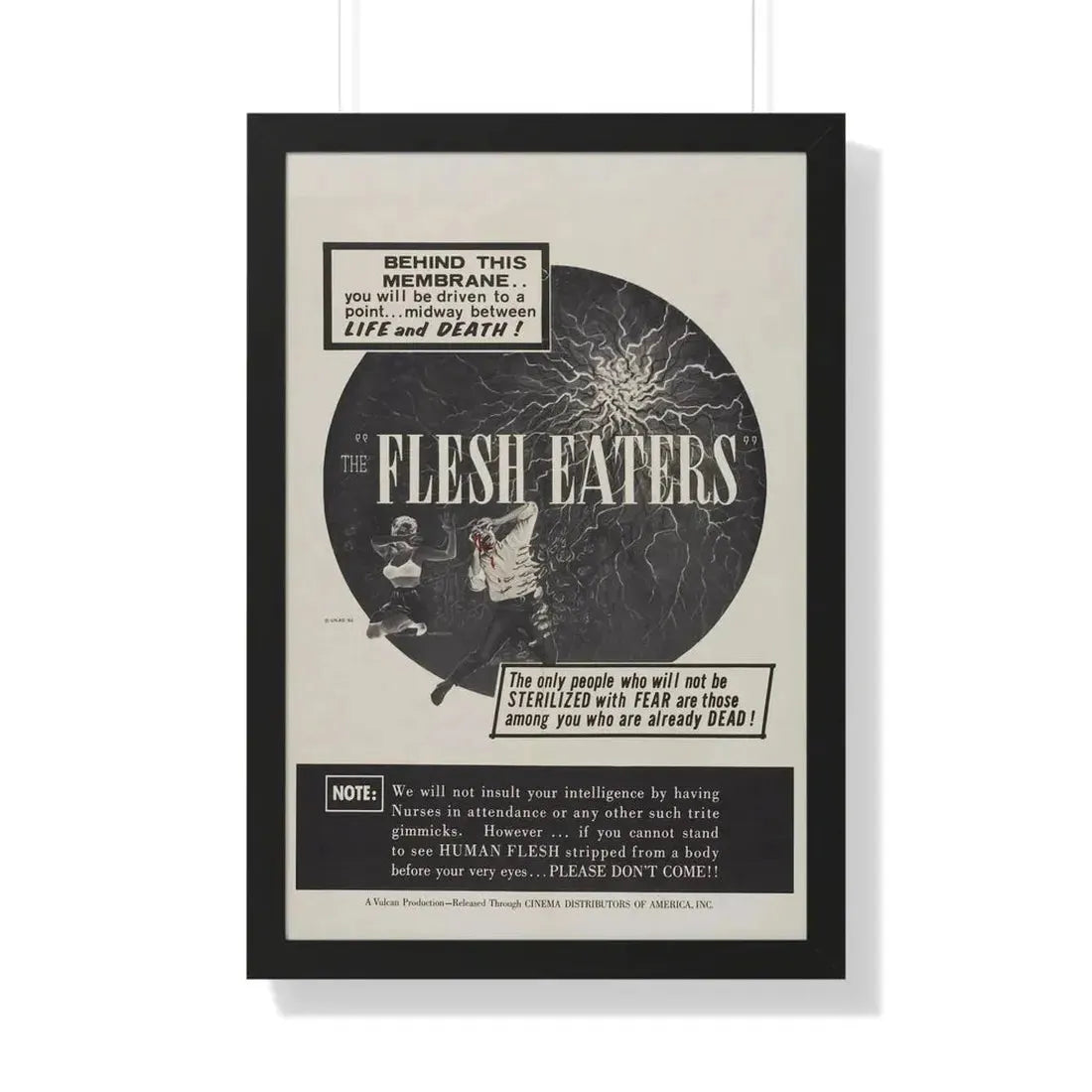 THE FLESH EATERS 1964 - Framed Movie Poster 20" x 30" Black - The Sticker Space